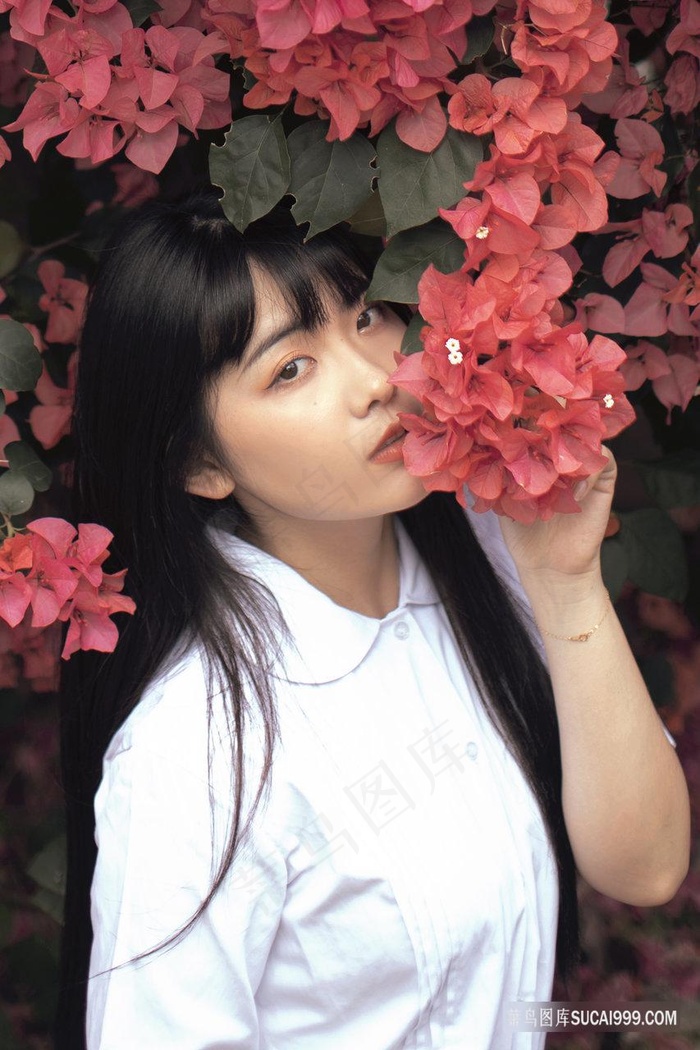 狗胶配方大全高清视频